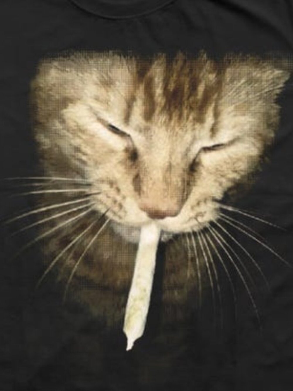 Funny Smking Cat Meme T-shirt, Silly Cats Shirt - Picture 2 of 4